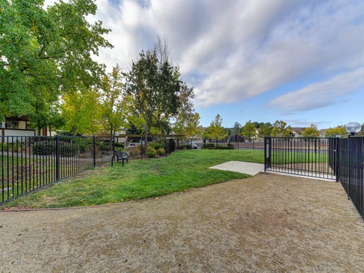 Dog Park with Walking Path, Grass, Trees and Bench in Distance